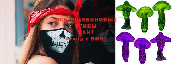 ешки Алзамай