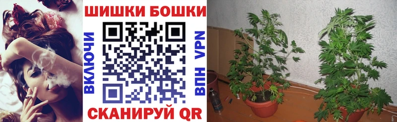 сколько стоит Перевоз Бошки марихуана White Widow